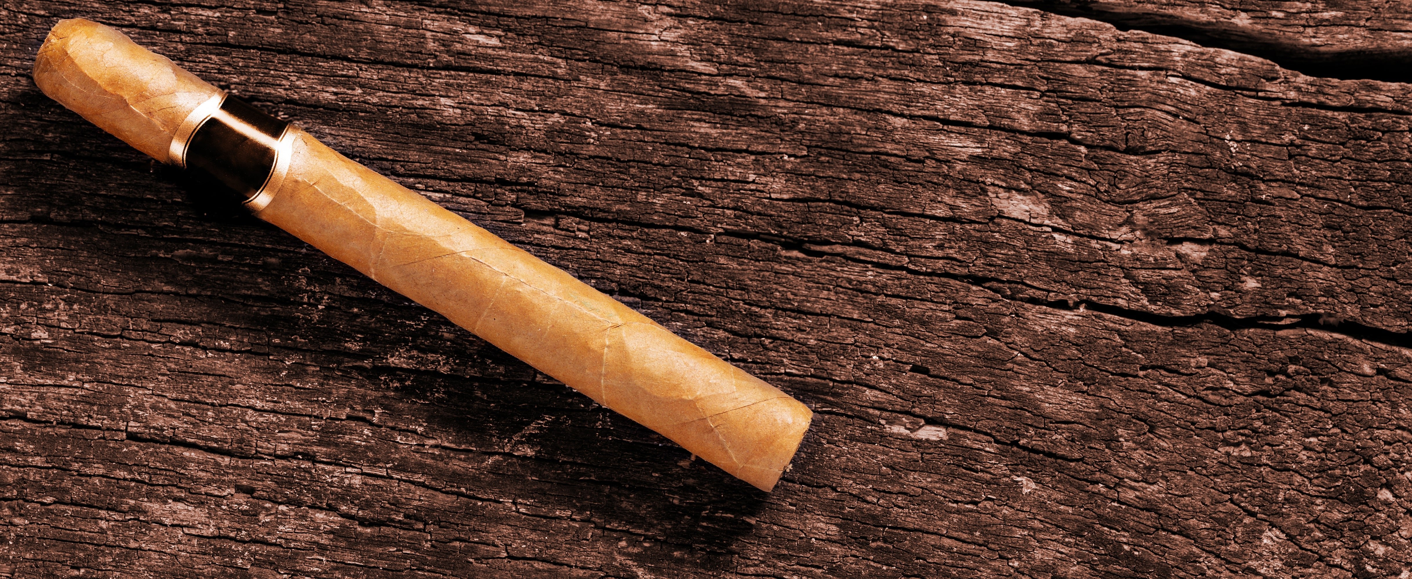 Zigarren - Tasting-Guide