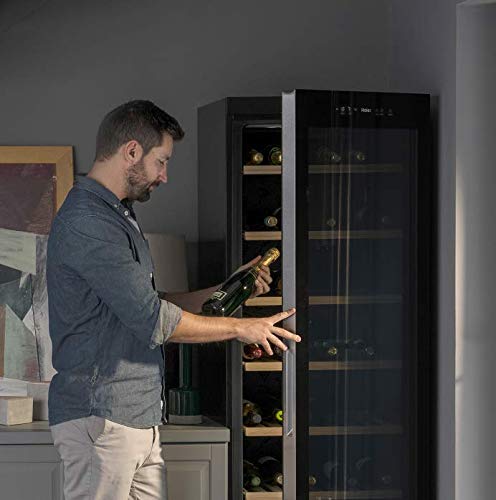 Haier WS171GA Weinkühlschrank für bis zu 171 Flaschen, 185 cm Höhe, Innenbeleuchtung