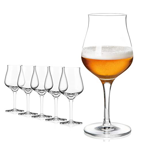 SAHM Biergläser Set 6 STK, 420ml, Craft Beer Gläser