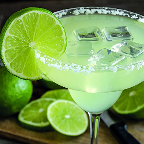 SAHM Margarita Gläser, 6er Set, 270ml, Cocktailgläser Set