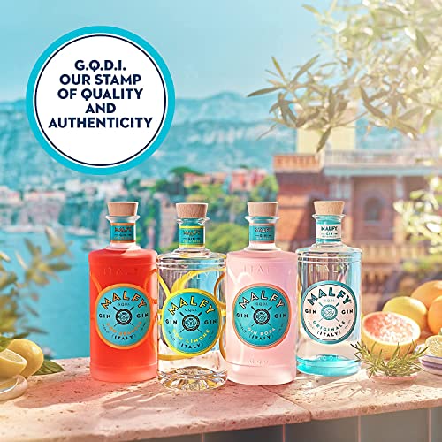 Malfy Gin con Arancia – Super Premium Gin aus Italien