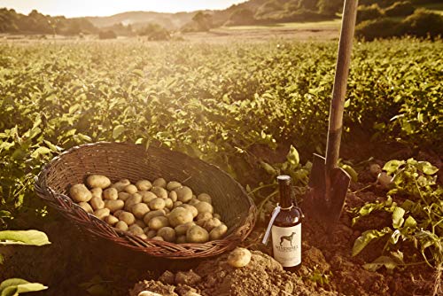 Windspiel Premium Dry Gin (1 x 0.5 l)