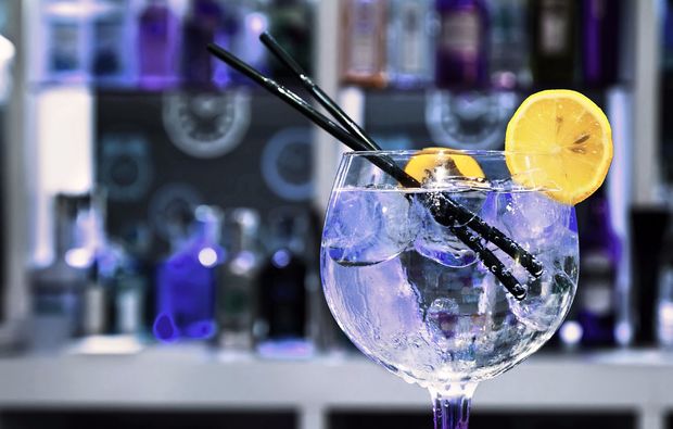 Gin Tasting in München, mind. 6 Sorten Gin & Tonic Water