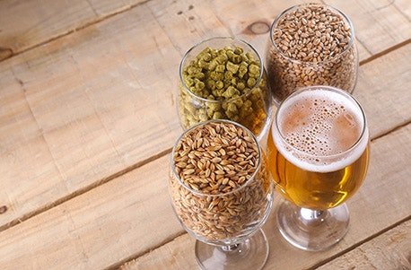 Bier Braukurs bei München, Bierherstellung und Hintergrundwissen