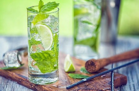 Gin Tasting in München, klassische und moderne Gin Sorten