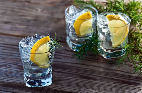 Gin Tasting in München, Verkostung von mind. 6 verschiedenen Gins