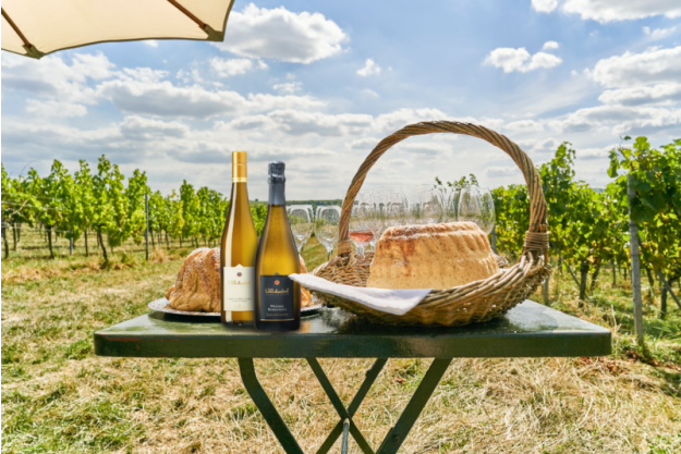Wein Tasting virtuell, online Picknick im Weinberg@Home