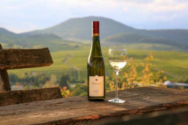 Wein Tasting virtuell, online im Weinberg@Home